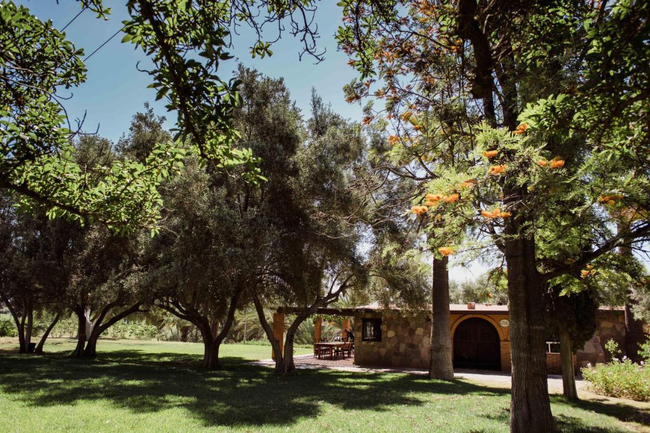 Villa Rancho Toros Pintos Valle de Guadalupe Exterior foto