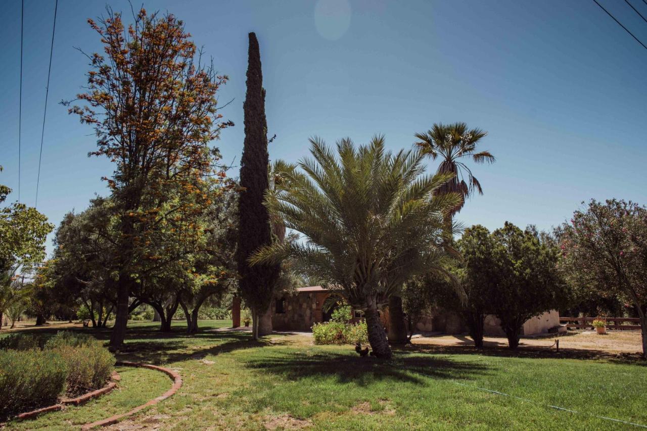 Villa Rancho Toros Pintos Valle de Guadalupe Exterior foto