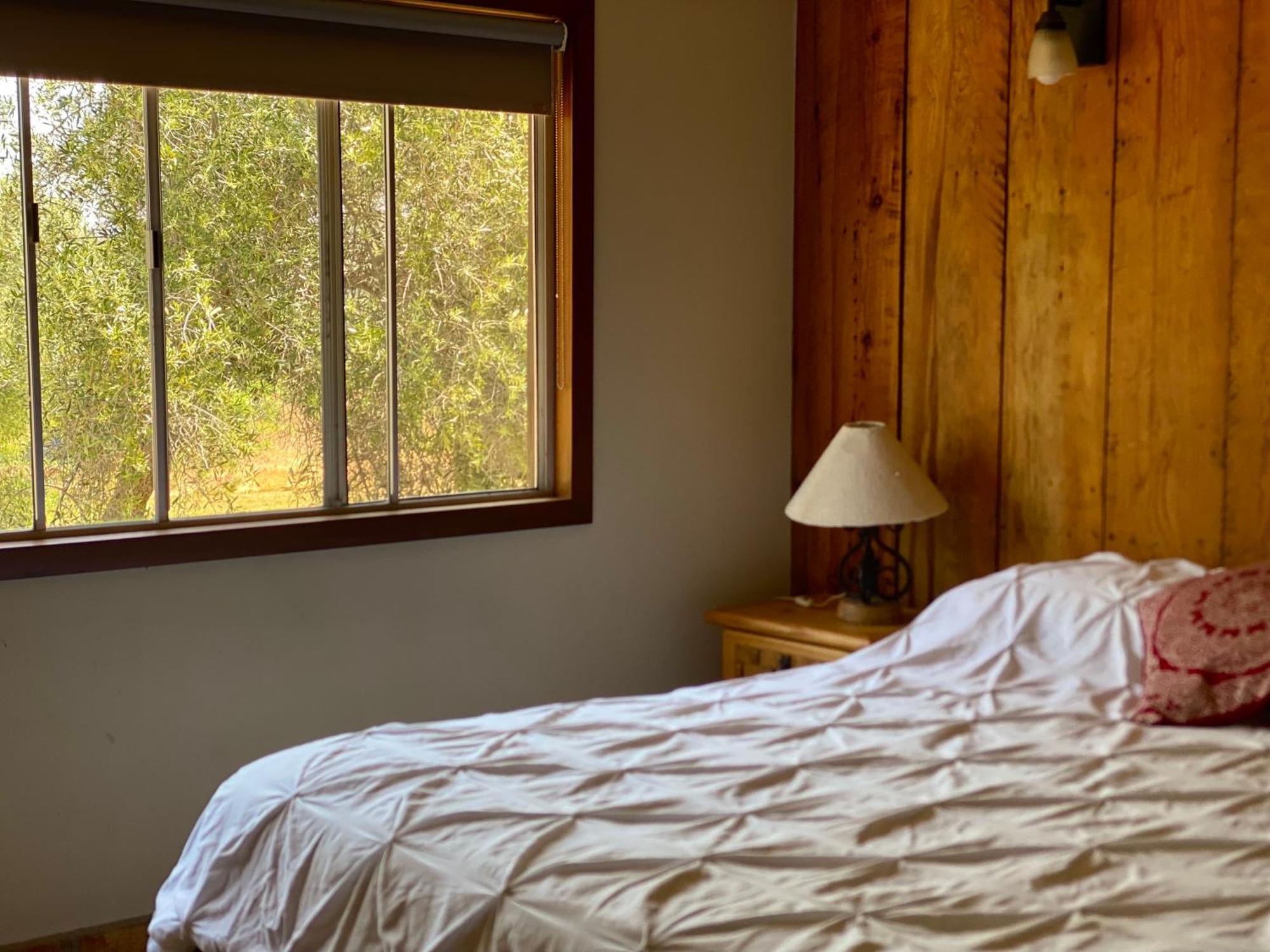 Villa Rancho Toros Pintos Valle de Guadalupe Zimmer foto