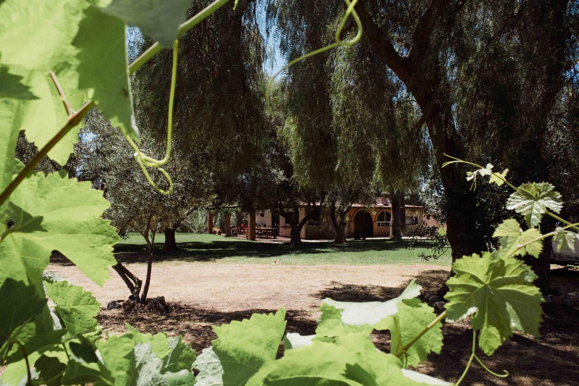 Villa Rancho Toros Pintos Valle de Guadalupe Zimmer foto